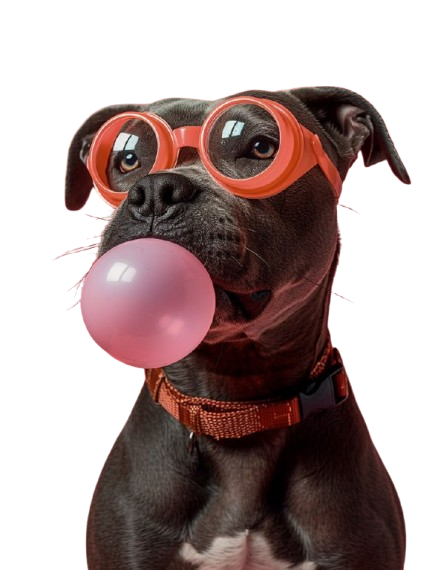 PETCARESTUDIO Logo